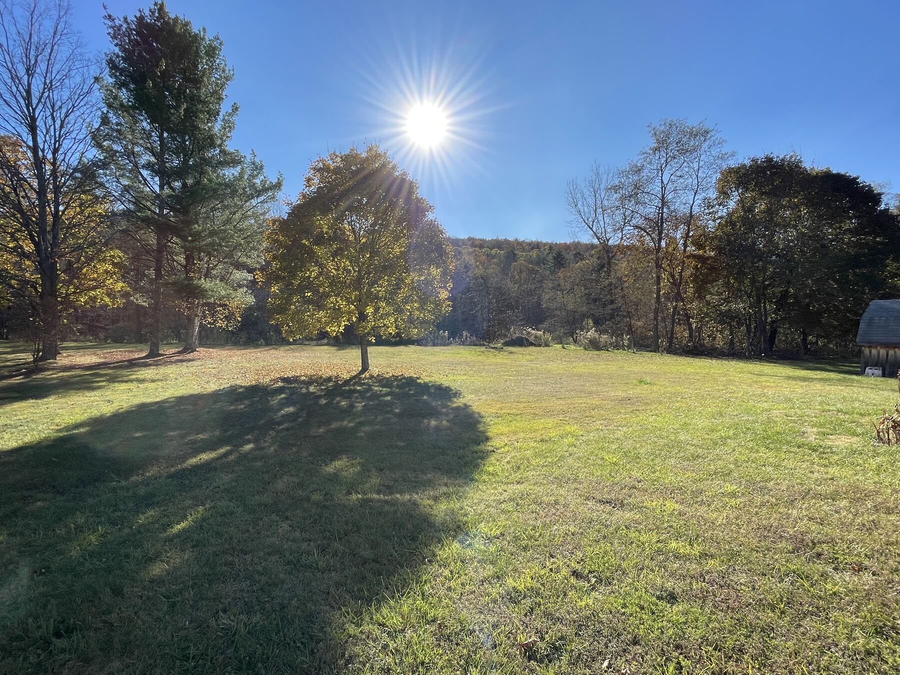 The wooded acre behind Whispering River